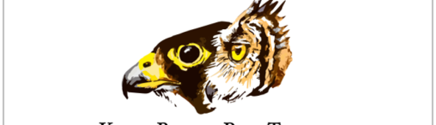 Kenya Bird of Prey Trust