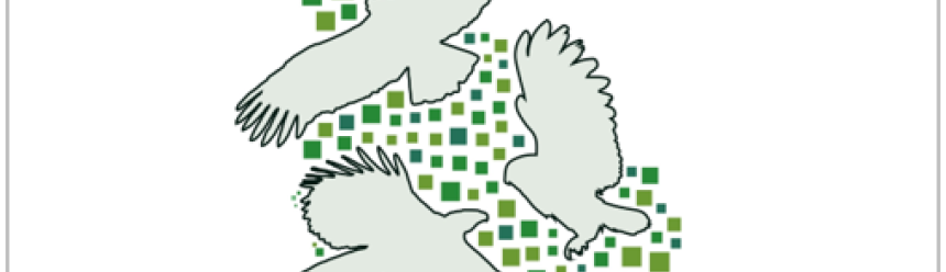 Rapaces Bolivia