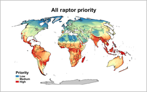 Npr Raptor Maps GRIN Home | The Peregrine Fund