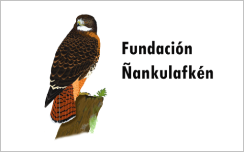 Fundacion Nankulafken