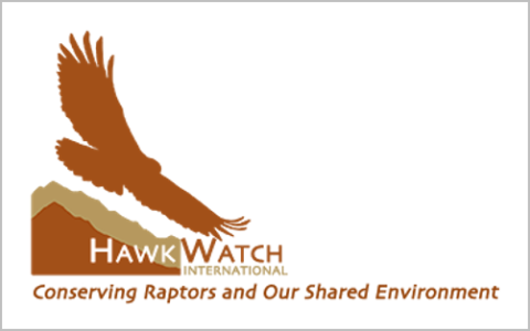 Hawk Watch INternational